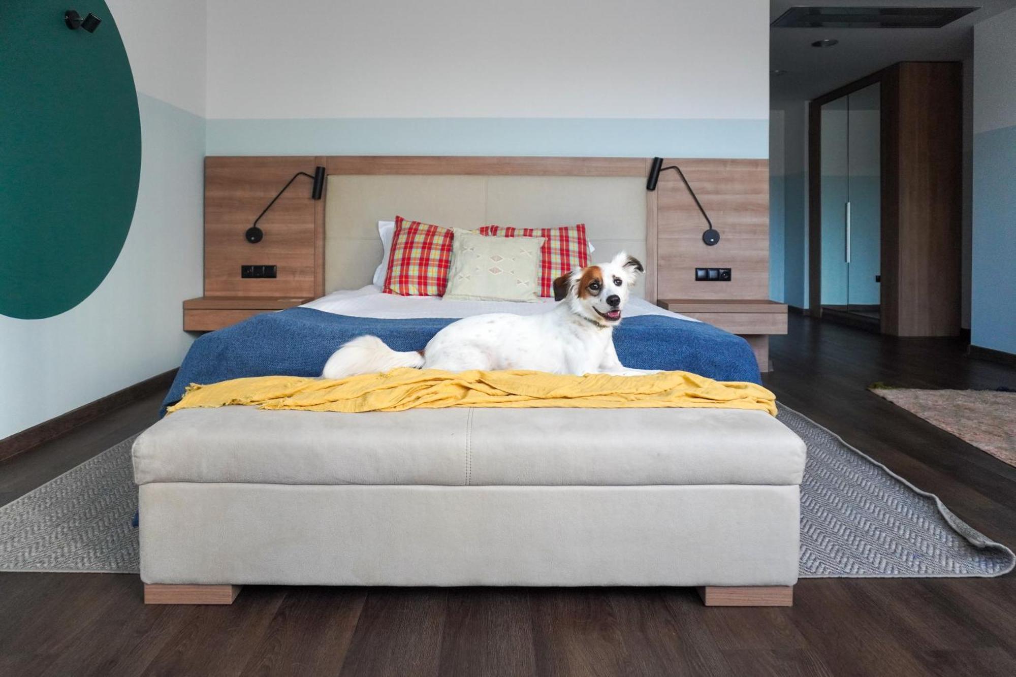 Wn Lab Hotel - Including Breakfast And Parking Sofie Exteriér fotografie